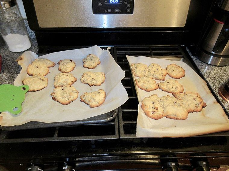 Chocolate chip cookies fresh out of the oven, edges set.