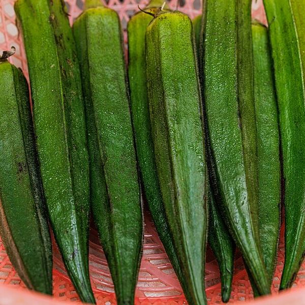Several fresh green okra pods lying in a pink colander.